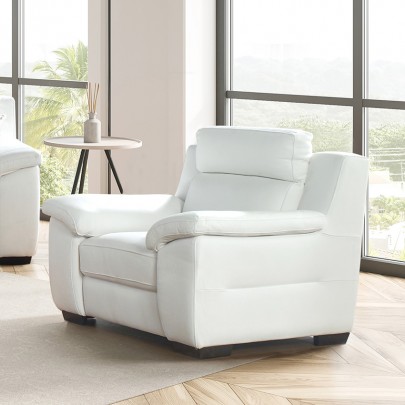 AR-21911-WHT